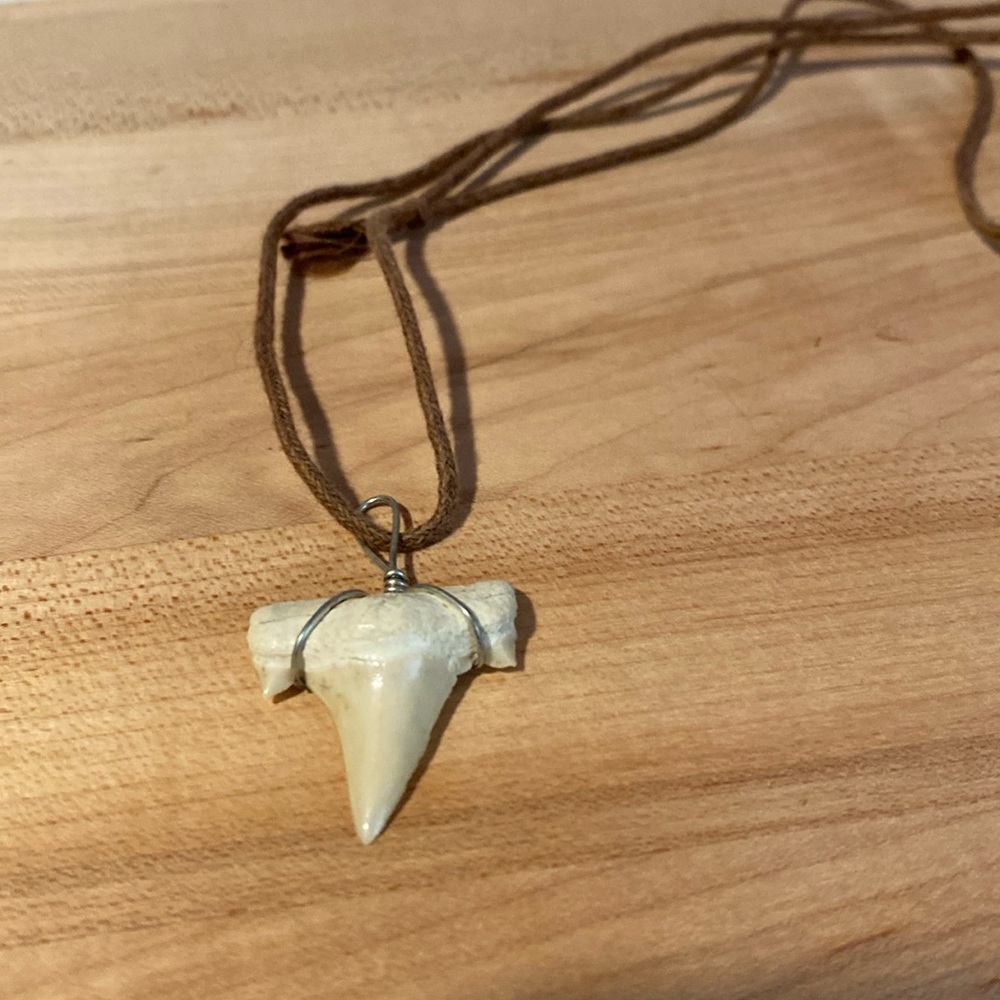 Shark Tooth Necklace